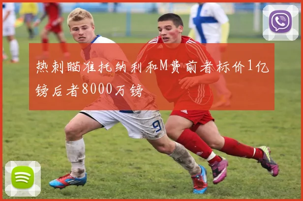 热刺瞄准托纳利和M费前者标价1亿镑后者8000万镑